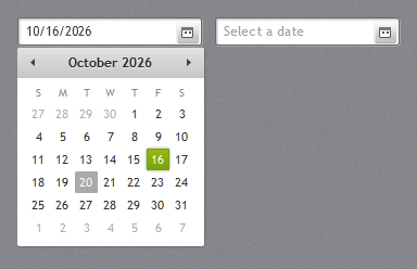 DatePicker with its calendar open