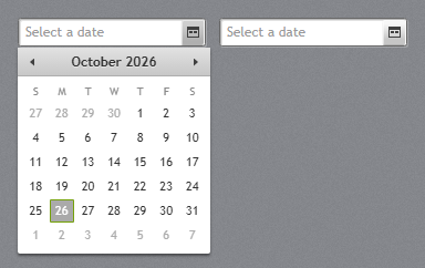 DatePicker with its calendar open