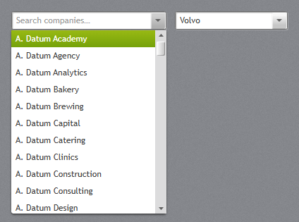 SearchComboBox filtering a long list